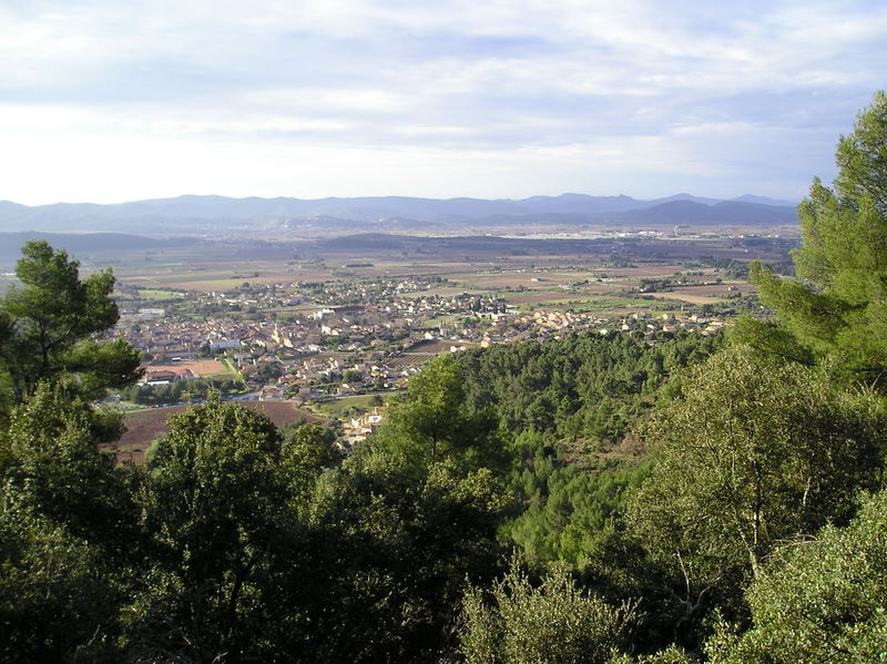 P1010009.JPG