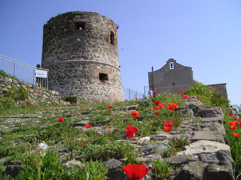 P1010024.JPG