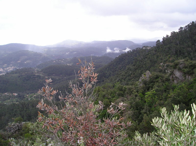 P1010009.JPG