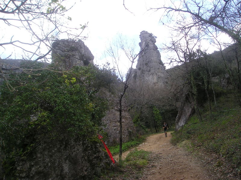 P1010044.JPG