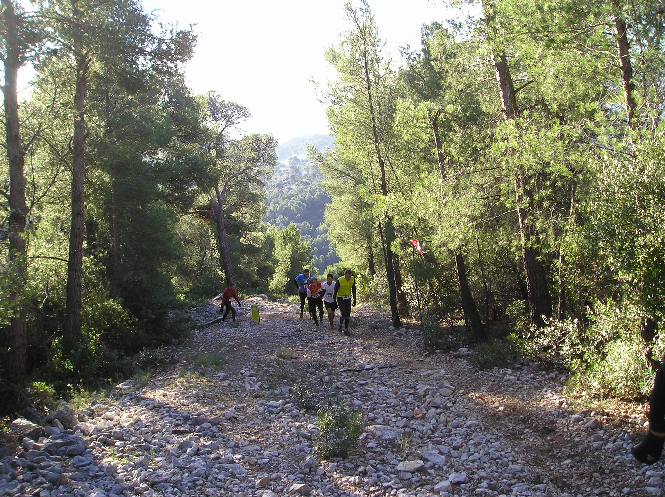 trail des lutins 09 dec 2012 010.JPG