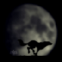 gif02.gif