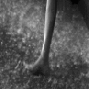 gif07.gif