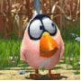 gif09.gif
