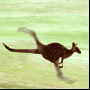 gif016.gif