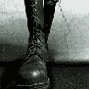 gif013.gif