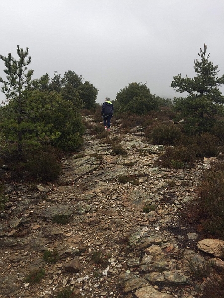 ptitlievre en vacances en Ardèche 3